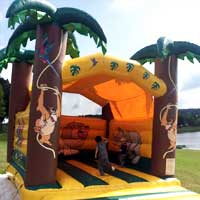 Hüpfburg Jungle in Dresden ab 80Euro mieten